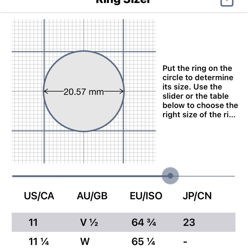 Barbara Bixby Ring - image 6